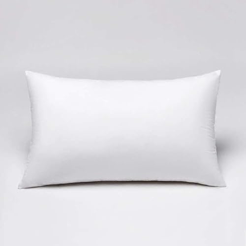 Decorative Throw Pillow Insert 12x20 Inches