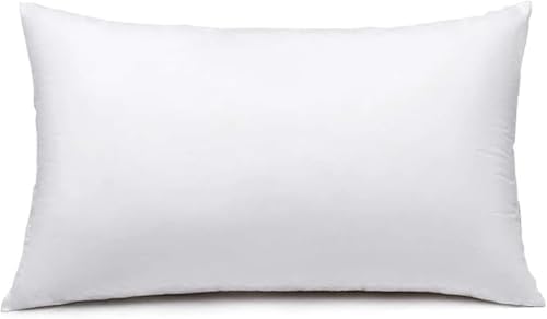 Decorative Throw Pillow Insert 12x20 Inches