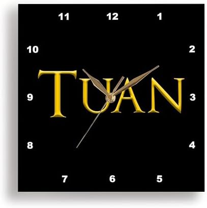 3dRose 13 Inch Silent Wall Clock with Baby Boy Name