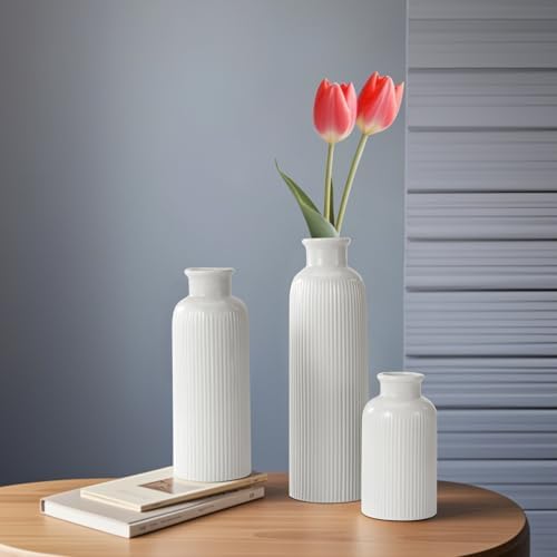White Ceramic Vase Set of 3 Boho Modern Farmhouse Decor