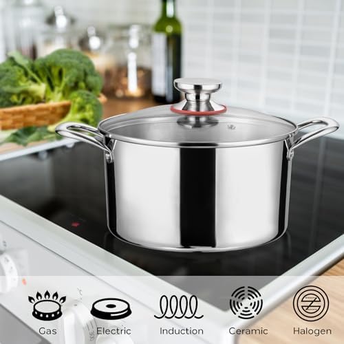 6 Quart Stockpot with Lid Tri-Ply Induction 1810 Stainless Steel