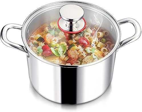 LIANYU 6QT Stainless Steel Stockpot with Lid