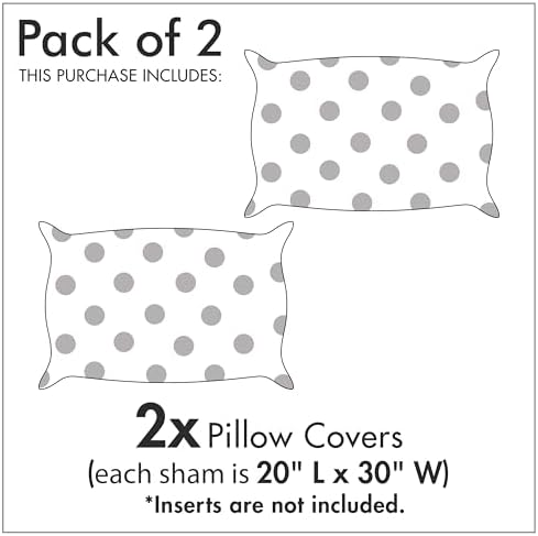 Ambesonne Rustic Pillow Sham Set of 2 Turquoise