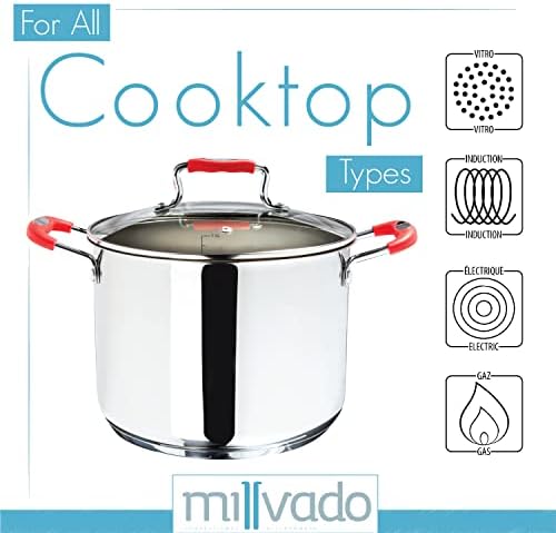Millvado 6 Quart Stainless Steel Stock Pot with Glass Lid