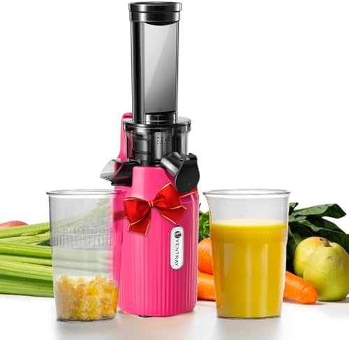Ventray Ginnie Mini Cold Press Juicer Pink
