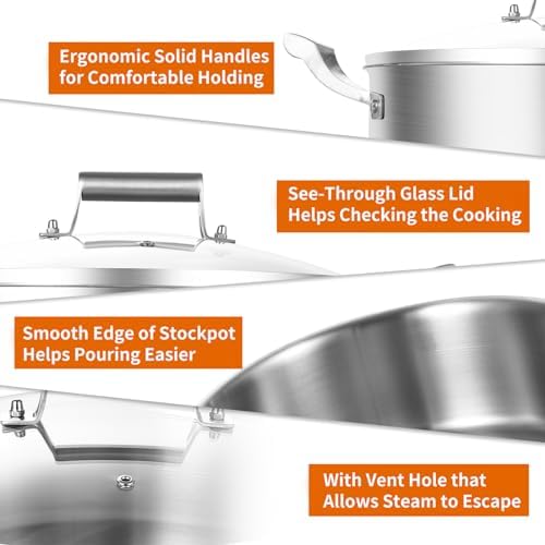 Delarlo 7QT Tri-Ply Stainless Steel Stock Pot with Glass Lid