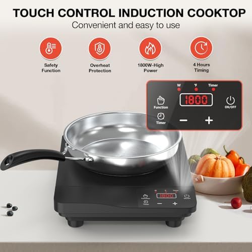 1800W Portable Induction Burner with 10 Fry Pan