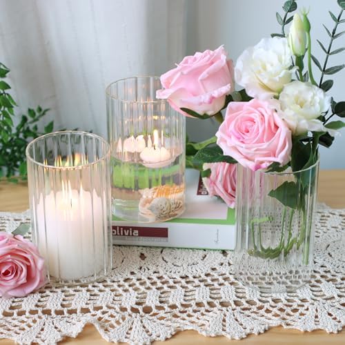 12Pcs Glass Cylinder Vases for Centerpieces