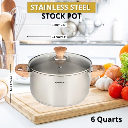 Daniks Oslo Stainless Steel Stockpot with Glass Lid 6 Quart Silver