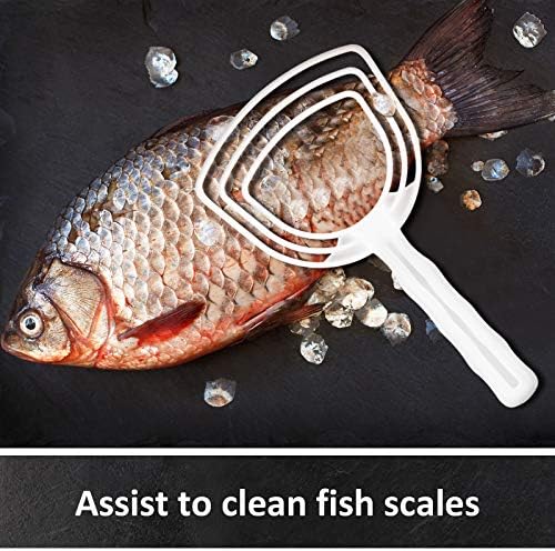 Mudder 4-Piece Fish Scale Remover Set for Kitchen Use