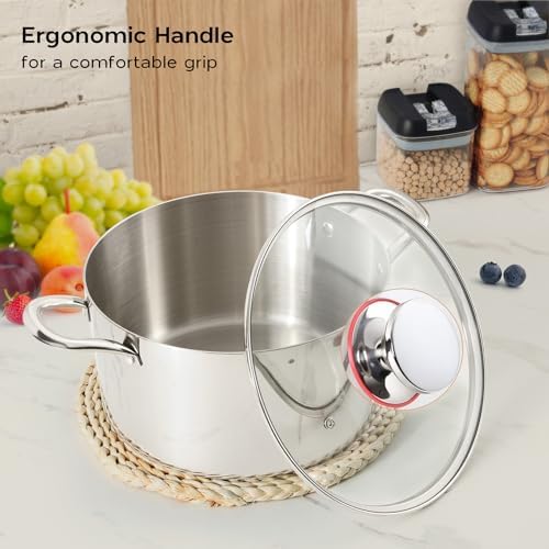 6 Quart Stockpot with Lid Tri-Ply Induction 1810 Stainless Steel