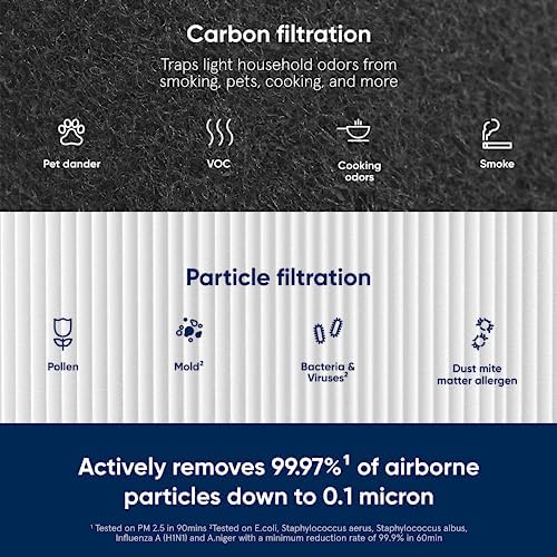 BLUEAIR DustMagnet 5200 Series ComboFilter Replacement