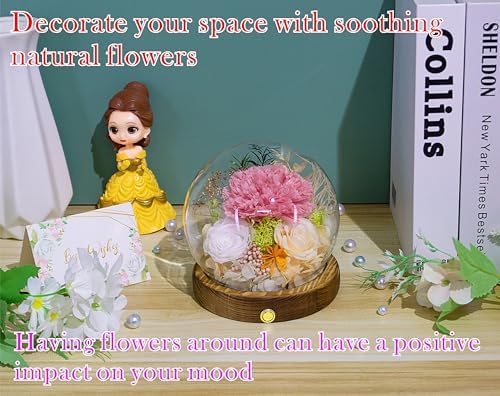 Valley of Rain Forest Preserved Flowers Gift Set