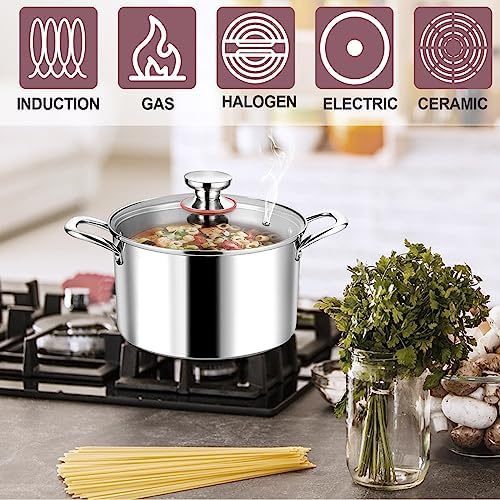 LIANYU 6QT Stainless Steel Stockpot with Lid