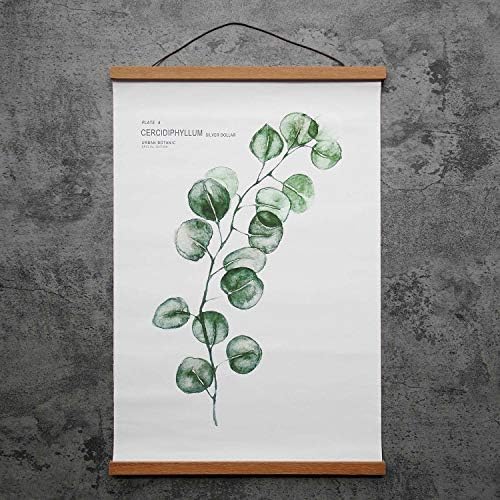 FALAMON 2 Pack Magnetic Poster Frame Hanger