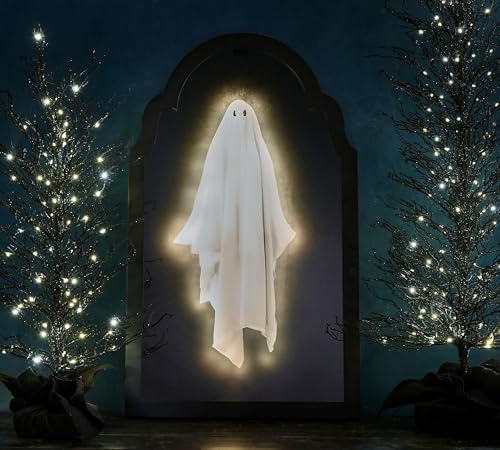 2025 Spooky Stewart Ghost Mirror with LED Lights