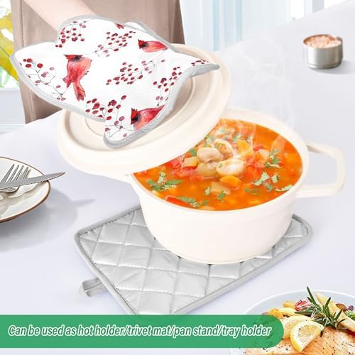 Berry Cardinal Bird Hot Pad Set of 2