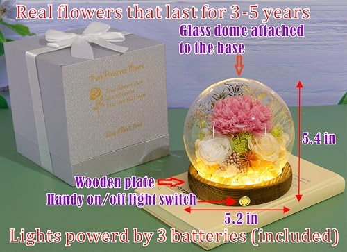 Valley of Rain Forest Preserved Flowers Gift Set