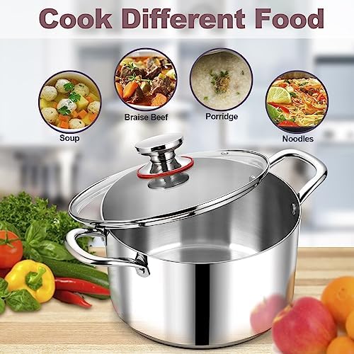 LIANYU 6QT Stainless Steel Stockpot with Lid