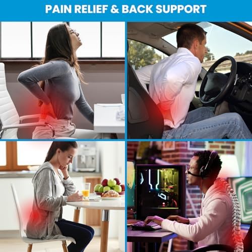 QUTOOL Lumbar Support Pillow for Office Chair and Car Seat