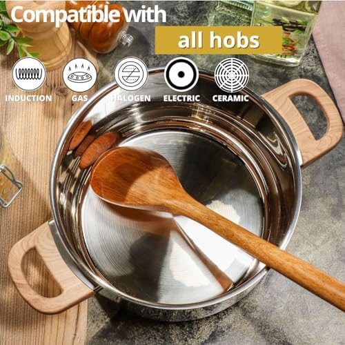 Daniks Oslo Stainless Steel Stockpot with Glass Lid 6 Quart Silver