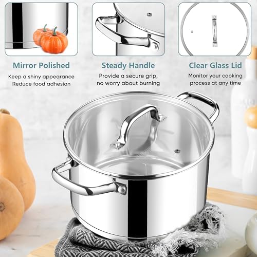 E-far 6 Quart Stock Pot with Lid Stainless Steel