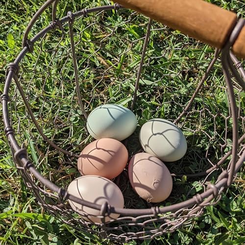 CVHOMEDECO Round Chicken Wire Egg Basket with Wooden Handle