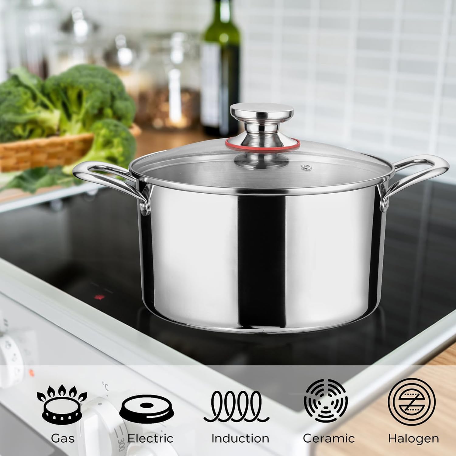 6 Quart Stockpot with Lid Tri-Ply Induction 1810 Stainless Steel