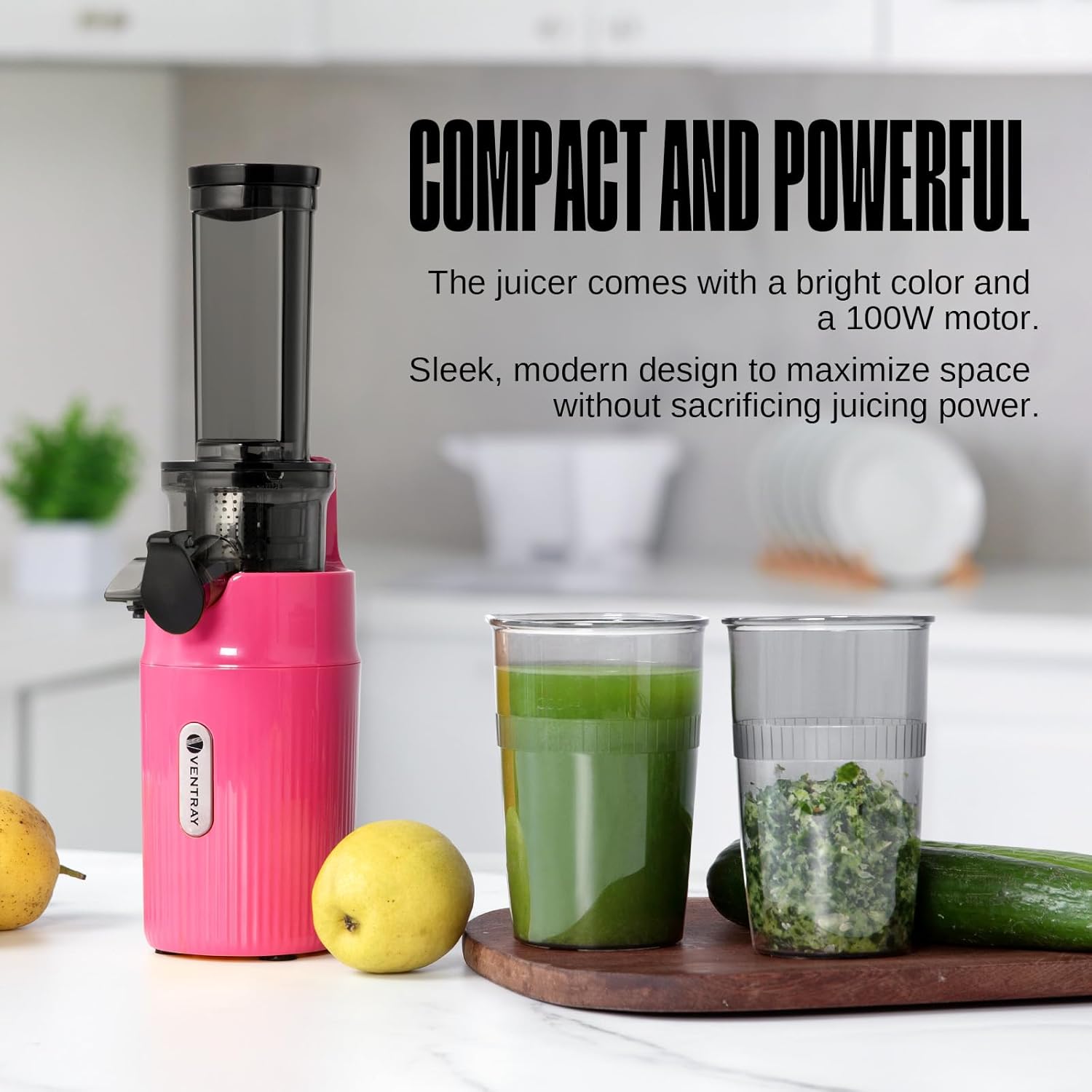 Ventray Ginnie Mini Cold Press Juicer Pink