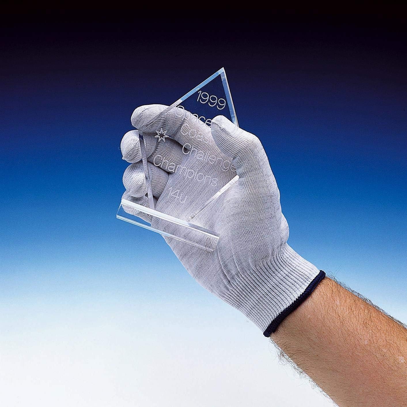 Kinetronics Antistatic Gloves ASG-L
