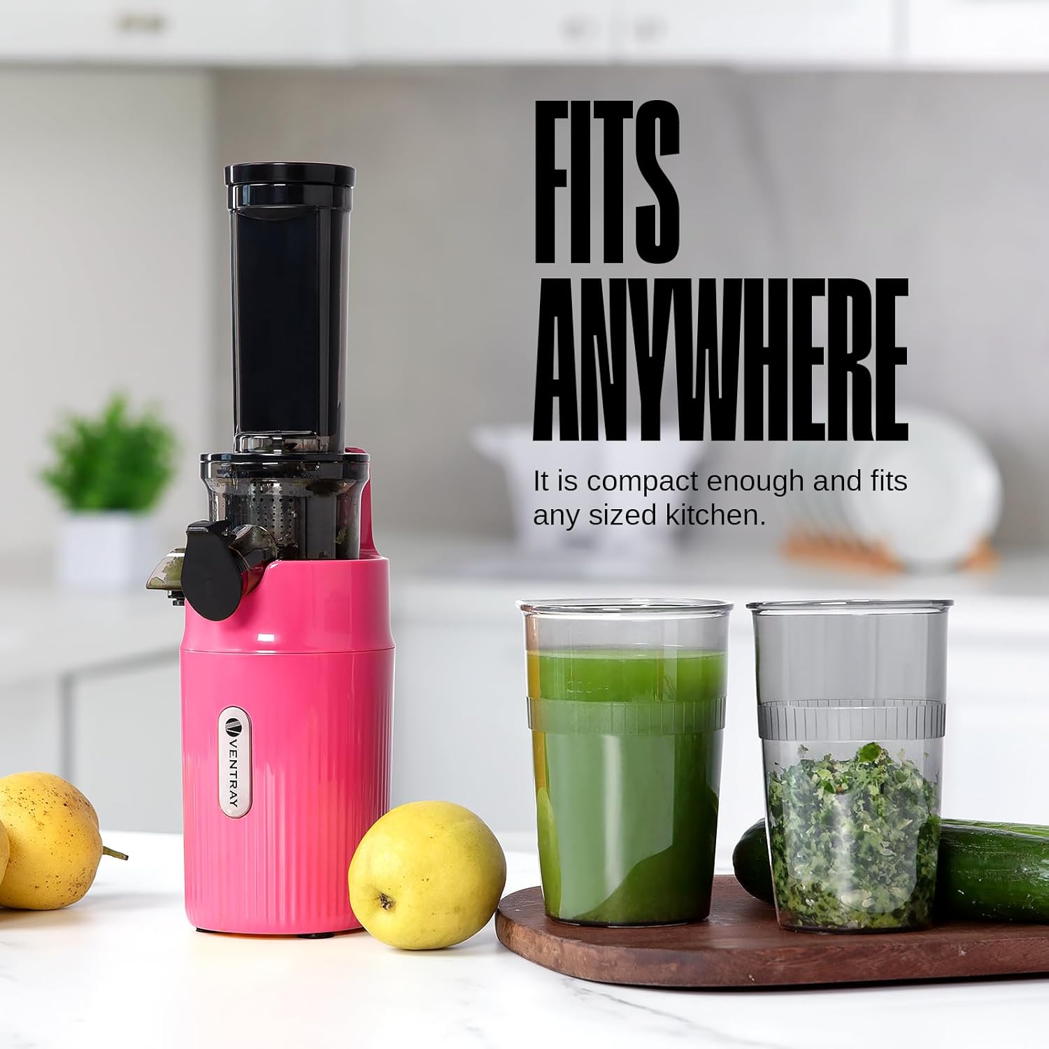 Ventray Ginnie Mini Cold Press Juicer Pink