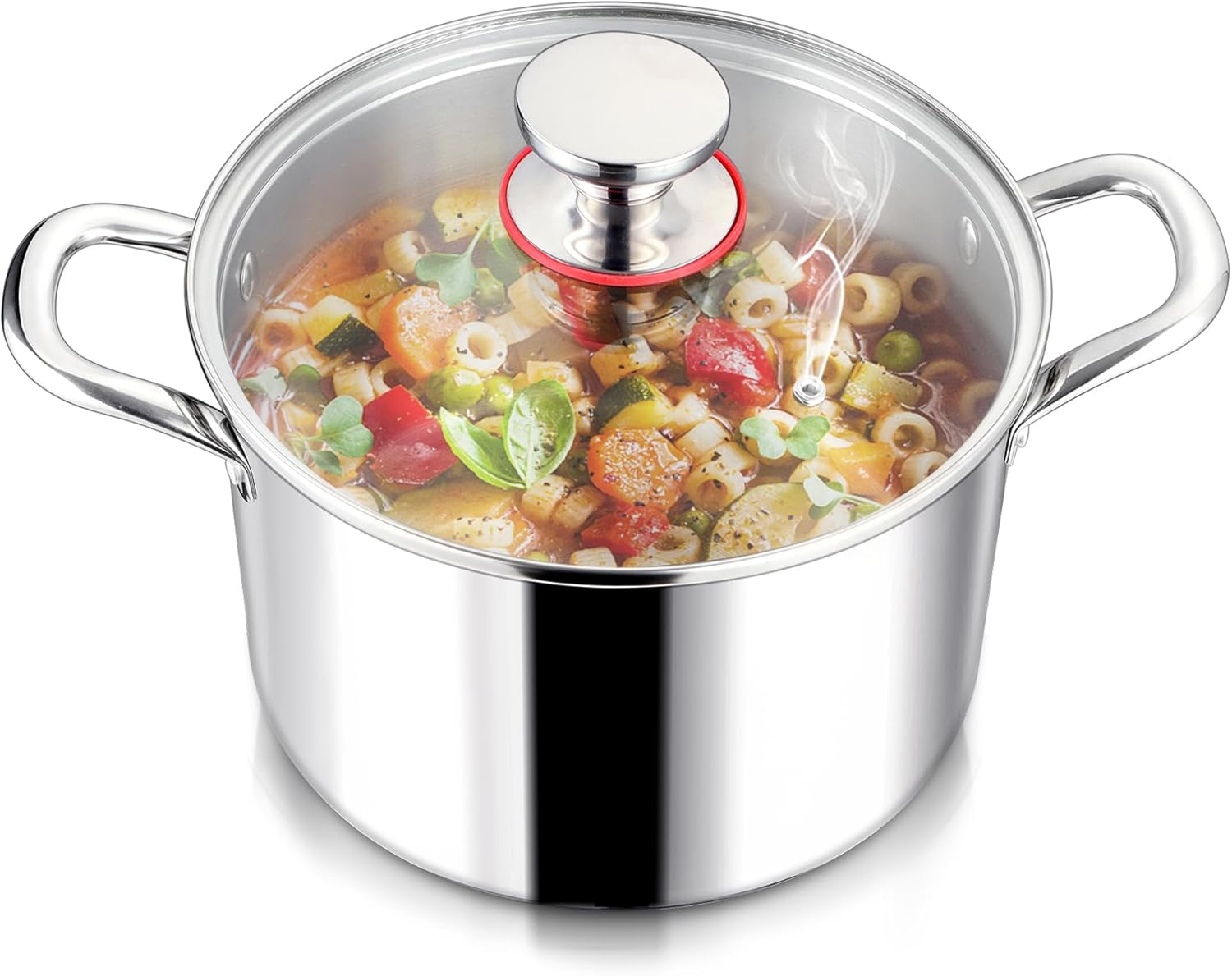 LIANYU 6QT Stainless Steel Stockpot with Lid