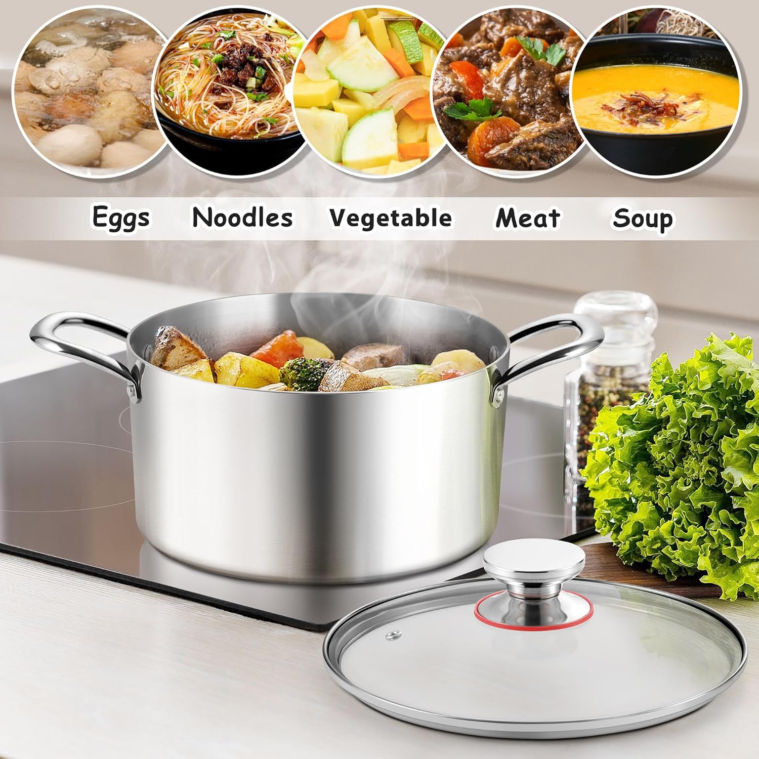 E-far 6 Quart Stock Pot with Glass Lid and Tri-Ply Steel