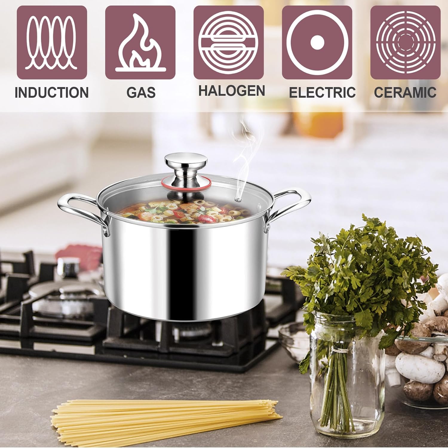 LIANYU 6QT Stainless Steel Stockpot with Lid