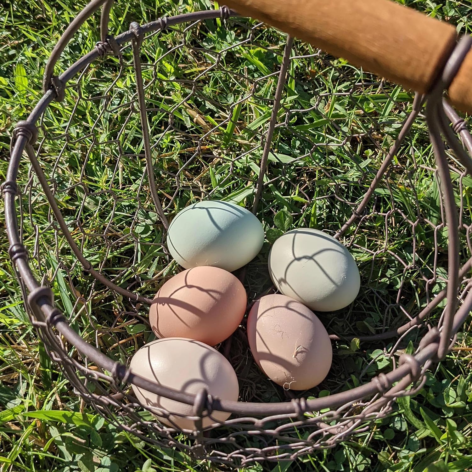 CVHOMEDECO Round Chicken Wire Egg Basket with Wooden Handle